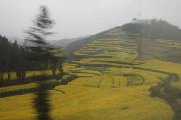 广州三天两晚旅行攻略穷游,7天云南穷游旅游攻略