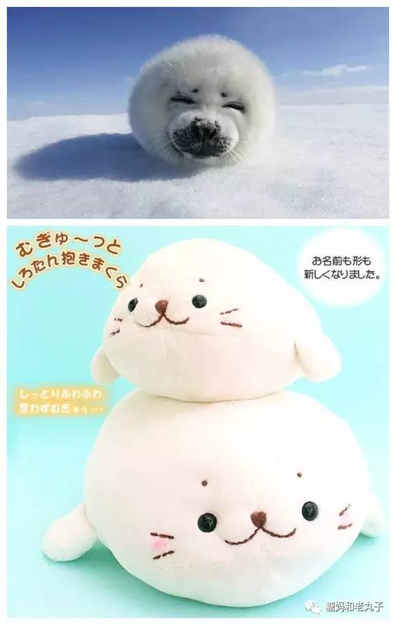 钱会花光人会散它萌不会离开你