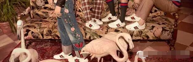 gucci帆布鞋与小白鞋 (gucci很火的一双鞋)