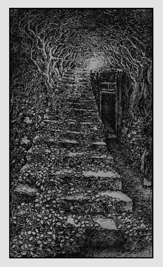 插画师迷狸:路过,停留