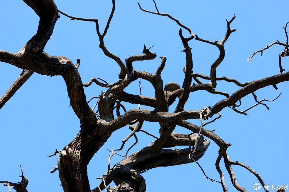 garminfenix手表有定位吗,garmin手表fenix3