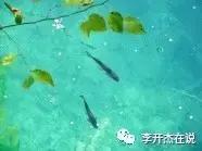 短篇小说湖水,失去记忆的小溪