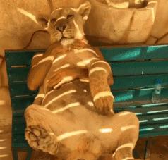 酝酿半天觉得不够自然,酝酿了好久却结果不如意