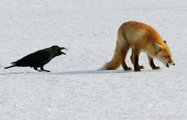 来！给鸦哥上支烟！