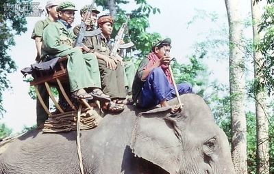 星光行动纪录片大全,星光行动纪录片