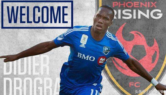 狼王托蒂巅峰赛季,狼王托蒂被逼到退役