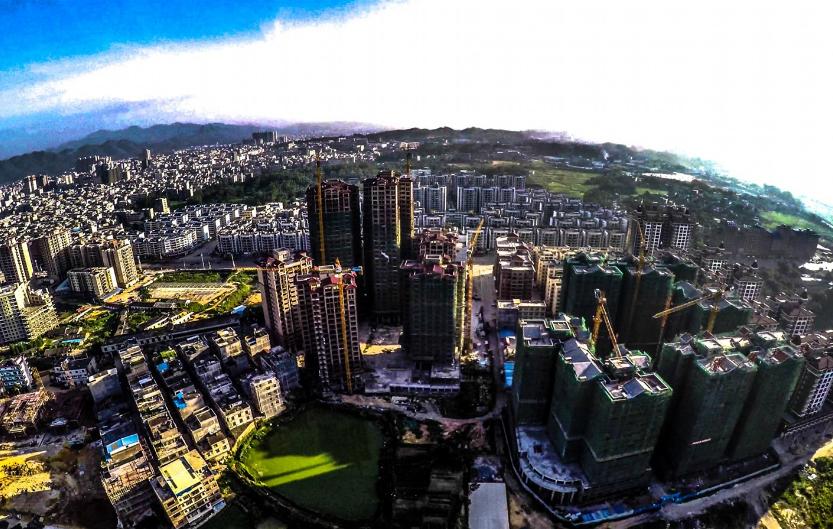 中国桂圆之乡广西博白,博白的桂圆和莆田桂圆谁好