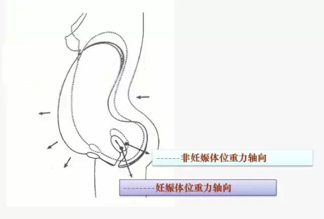 怀孕分娩时承受多少痛苦,怀孕分娩引起的肾功能损伤