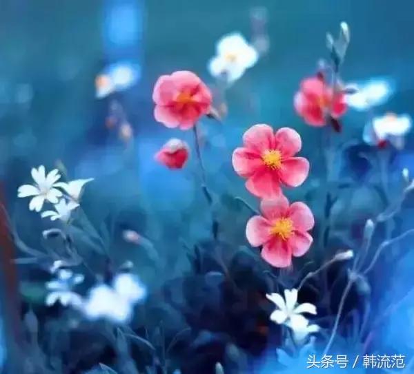 微商和代购们，这篇文章请砸给那些问完价嫌贵的