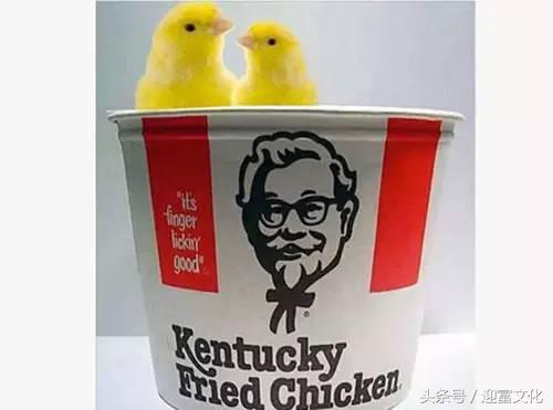 极速解酒法,世界公认十大快速解酒方法