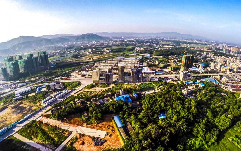 中国桂圆之乡广西博白,博白的桂圆和莆田桂圆谁好