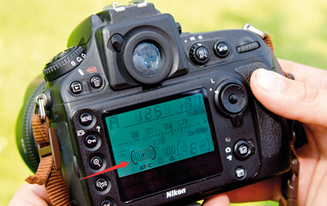 对焦追焦拍摄技巧,相机前景遮挡拍摄对焦技巧