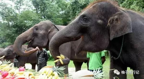 泼水节西双版纳旅游需要注意什么,西双版纳泼水节防晒攻略