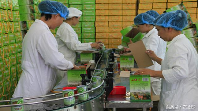 农村小投资就能挣钱的项目,适合农村投资小回报快的小生意