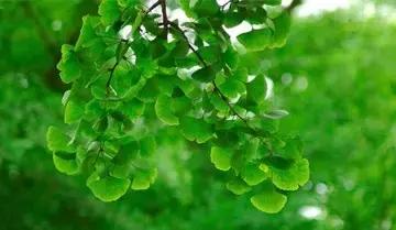 周易讲解阴阳五行藏象,熊继柏黄帝内经