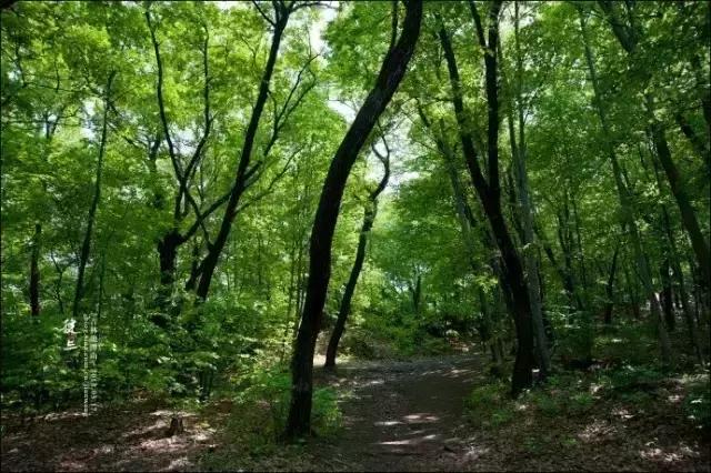 西安3月底周边赏花踏青一日游,武汉踏青自驾一日游推荐