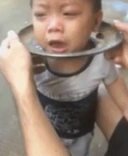 泰迪怎么会喜欢你,泰迪怎么让它信任你