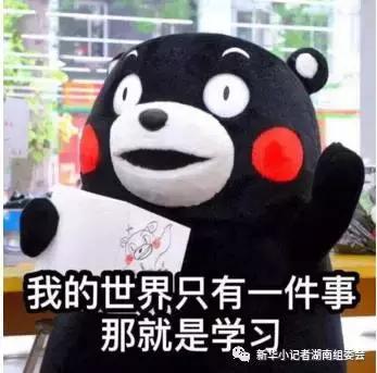 一个12岁少年对教育“结果论”的“呐喊”