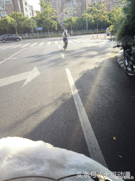 在原神漫展中最受欢迎的cosplay,十大惊艳cosplay漫展