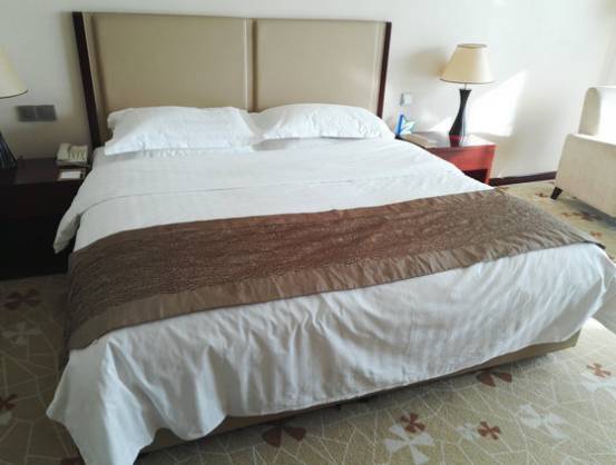 酒店床垫有哪些,床垫曝光名单