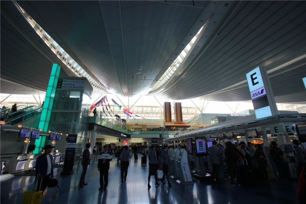 落英缤纷系列,落樱缤纷日本