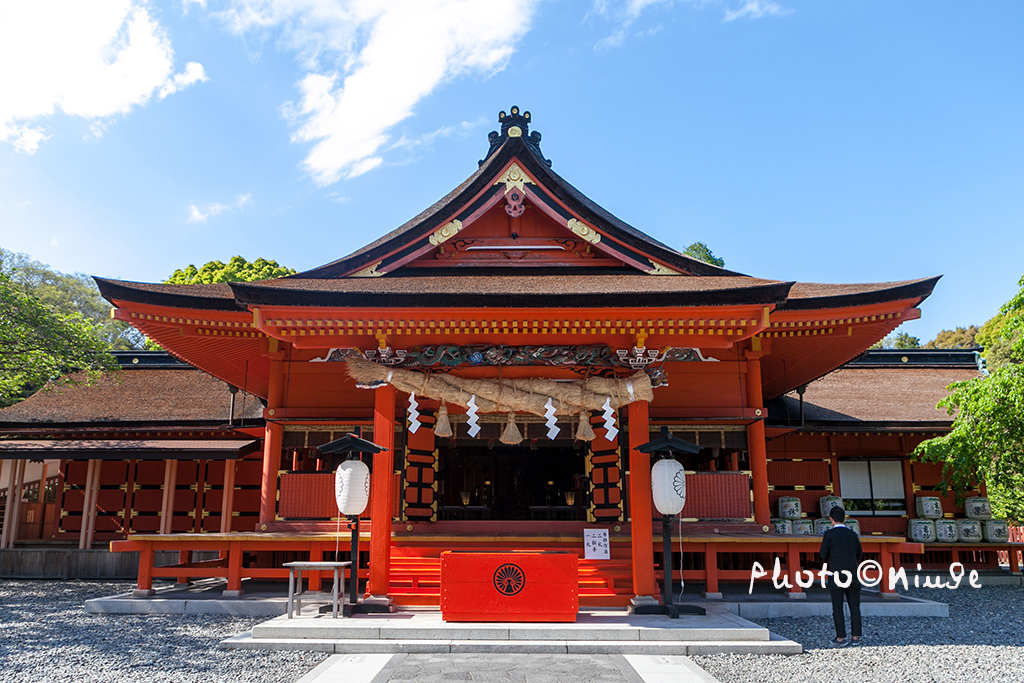 澳门航空空姐游东京 富士山下遇见最美的樱花