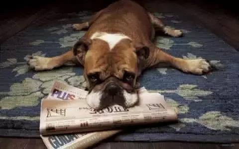 了解这些让胃癌离你远一点,了解这些可以让你少走弯路