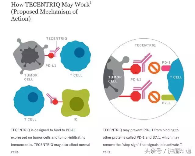 目前全球最先进抗乳腺癌特效药,治疗乳腺癌的第一名中药有哪些