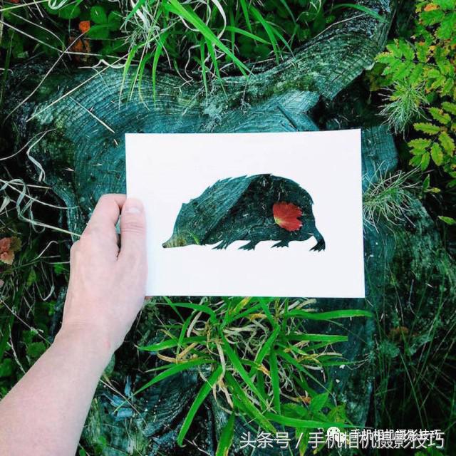 不用ps拍出惊艳的图片,在家自己拍摄10个创意摄影方法