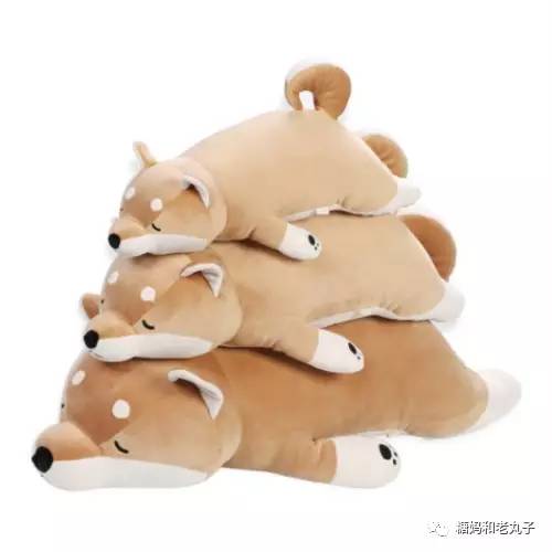 钱会花光人会散它萌不会离开你