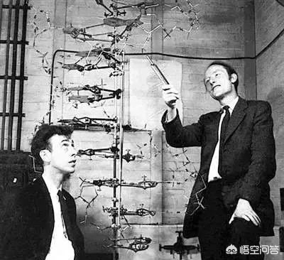 有人说没有中医的话中华文明可能会断代,对此你怎么看?