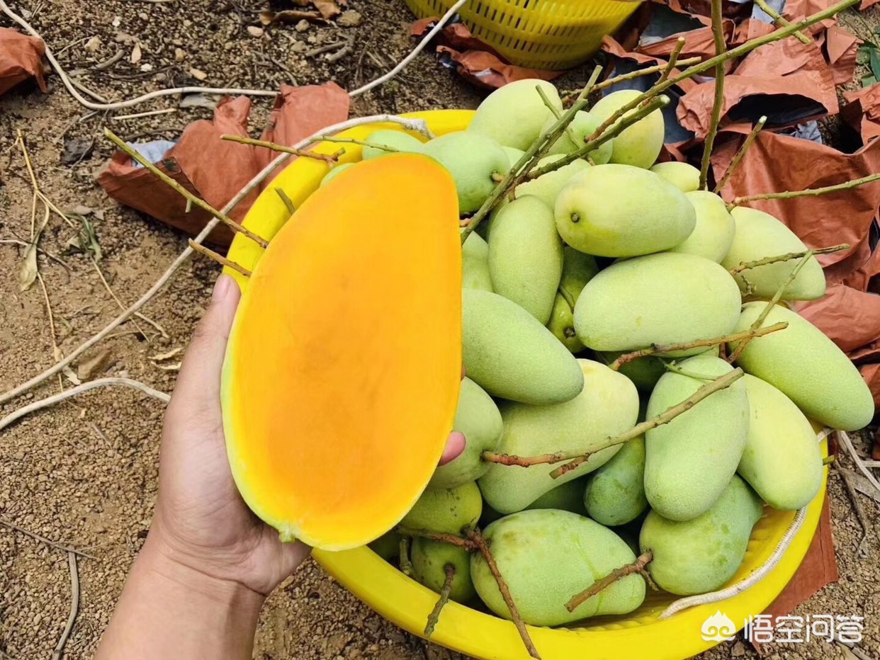 海南是宜居城市吗,海南到底好在哪