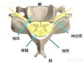 单纯的手指尖麻木是什么病兆,七种疾病早期症状