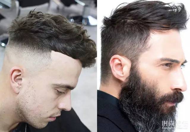 用什么拯救头发,拿什么拯救我干枯的头发