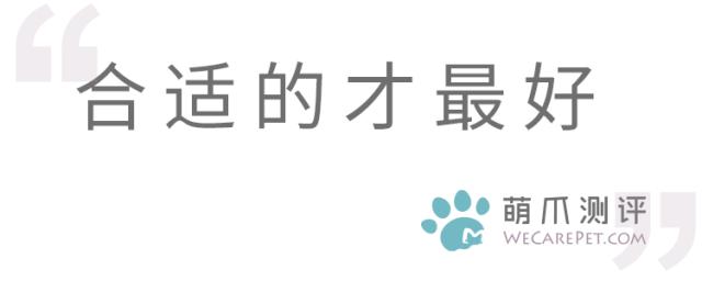 宠物去毛梳测评,猫毛梳测评真实