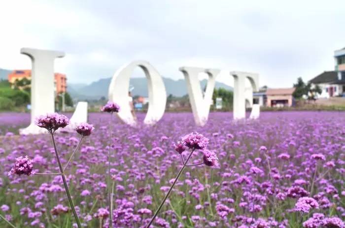 重庆五一节一日游景点推荐,五一重庆哪里玩