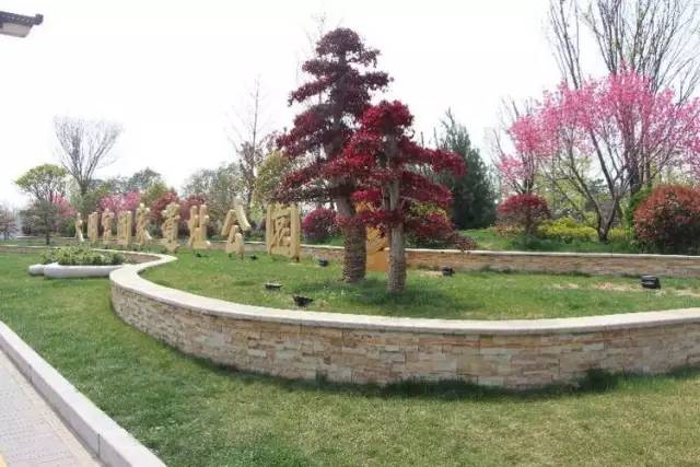 西安五人制足球场建设运营,五人制室外足球场设计效果图