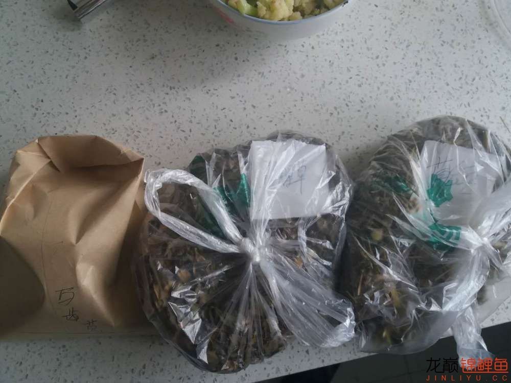 蒙药治眼疾,蒙医治眼奇方效果怎么样