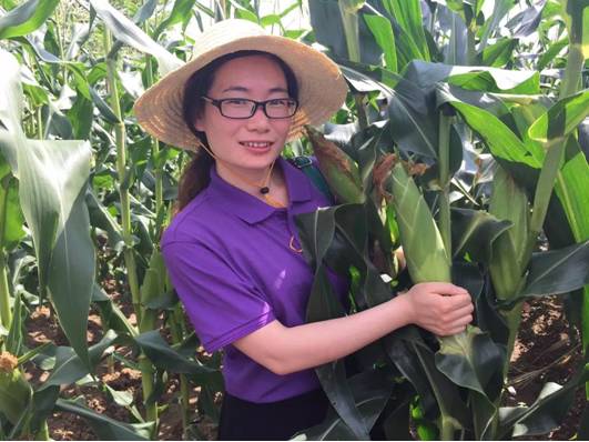 先正达24大蔬菜新品种,先正达蔬菜新品种