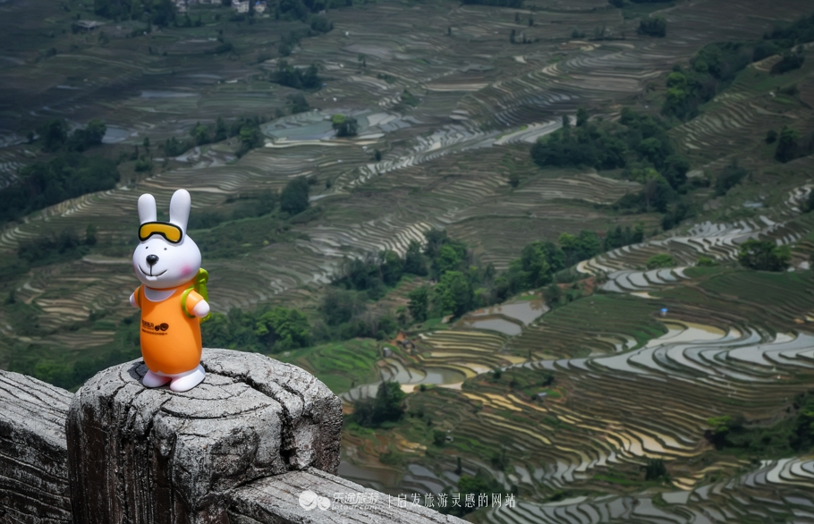 元阳梯田十二庄园香典民宿,元阳梯田世外桃源