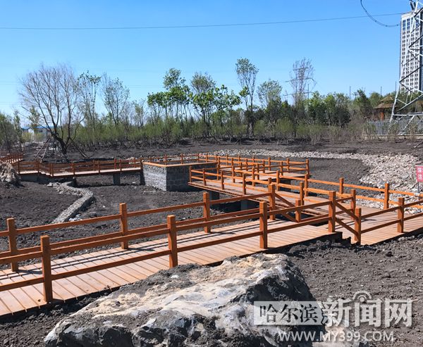 群力主题公园推荐,群力带芦苇荡的公园