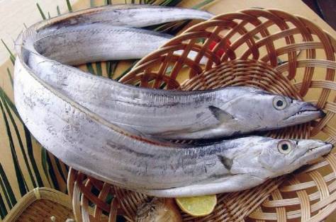 哈尔滨吃货，这8种你爱吃的海鲜全面禁售，活的冰鲜的统统不能卖