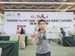 alphago属于什么人工智能,alphago在围棋上退役