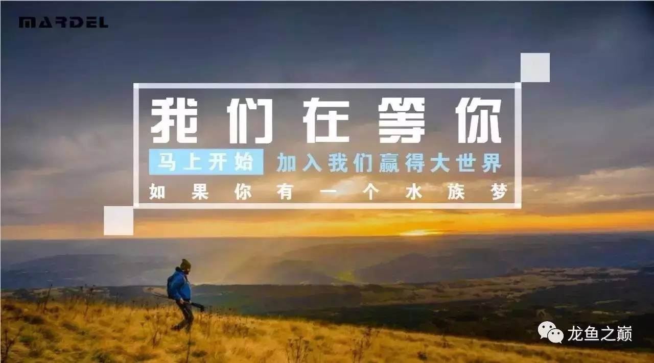 3000字长文，听李佳良聊杭州玛豆的五年弯路感悟