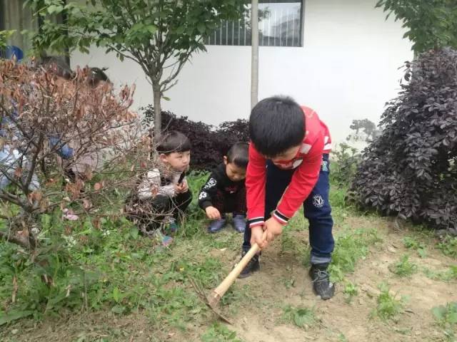 五月的小可爱们视频,五月可爱的小宝宝