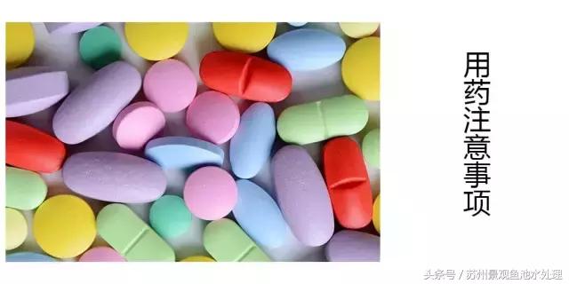 观赏鱼用药,观赏鱼鱼药的使用方法和注意事项