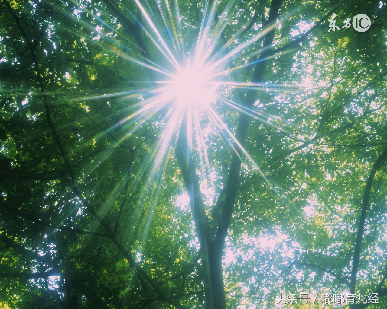 新生儿黑孩,刚出生的黑宝宝