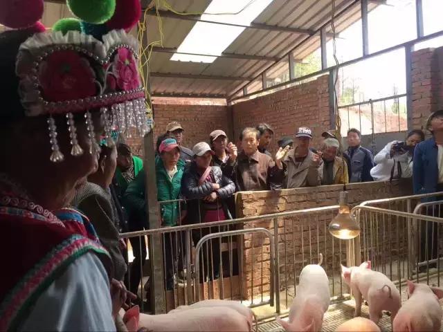 大理技师学院主要学哪些,大理技师学院2016年