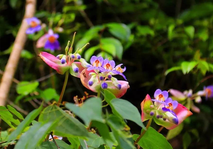 元宝山下,山水云间,悠悠闲云时光,恰好那时我也在