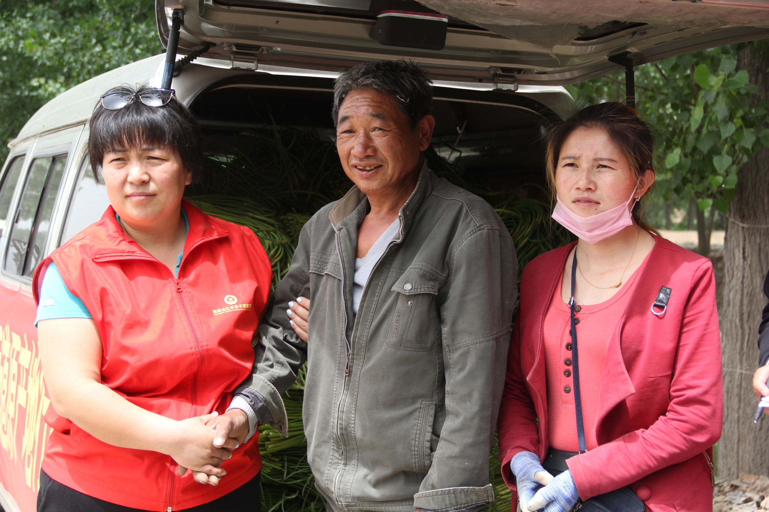 河南蒜薹最新消息,河南蒜薹滞销